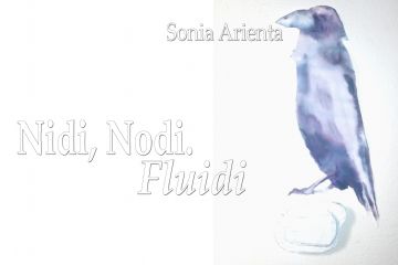 Nidi, nodi. Fluidi: online due pubblicazioni digitali del progetto
