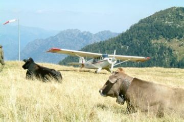 Aviosuperficie - Aereo in sosta